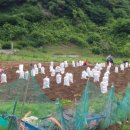 성기농장 이미지