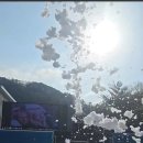 비에스풀빌라