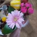 (주)제이케이메이세븐 | 전주 과일바구니 메이팜스 세련된 감성의 하트박스 선물