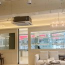 캣통령 잠실점 이미지