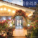 제주도아이랑 파미유리조트 키즈가족펜션 | 제주 서귀포 호텔 제주도아이랑 파미유리조트 키즈가족펜션 아이와함께한리얼후기