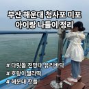 물고기 미포 | 부산 청사포 미포 아이랑 나들이 | 다릿돌 전망대 유리바닥 체험 + 호랑이젤라떡까지 완벽 코스 🐯