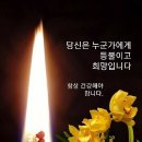 기억하면 유익한 생활의 지혜 모음. 이미지