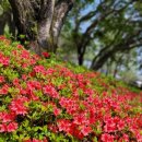 영등시민공원 인라인장 이미지