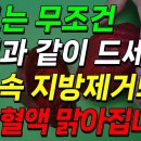 비트는 무조건 이것과 같이 드세요! 혈액 속 지방 제거되어 탁한 혈액 맑아집니다! 혈관 정화에 좋은 음식! 이미지