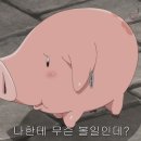 호크 이미지