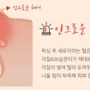 제제왁싱앤래쉬 네이버블로그