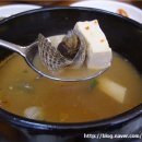꼬막나라