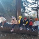 금란어린이집 이미지