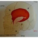 원포인트짐 이미지
