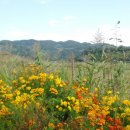 연천 한여울팜파크 글램핑장 이미지