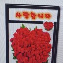통영수련꽃방에서 완성한 감성 가득 프로포즈 호텔룸 장식 후기