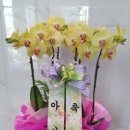 삼성한의원 이미지