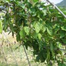 두손농장 이미지