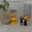 스테이 고대 이미지