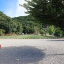 해바라기캠핑장 이미지