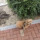 선동물병원 이미지