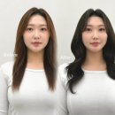 모던컨트롤 | 광주 미용실 유호 상무점에서 쏘테서포터즈가 사용해 본 모던쉐이드 염색약 후기!