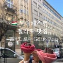장미약국 | 부다페스트 디저트 맛집 | 장미 젤라또 Gelato Rosa, 인기 맛 조합 추천 후기 + 포토 스팟 추천