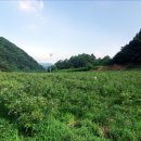 대야농장 이미지