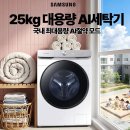 대지세탁소 | 삼성 25kg 국내최대 용량 AI세탁기 78만원대 구매혜택 "20% 삼성전자 감사폐스티벌"