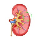 폼롤러필라테스 이미지