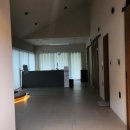 스테이펫 이미지