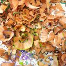 꽃그림 색연필화(보타니컬 아트) | 칼라 꽃그림 색연필화 그리기, 보태니컬 아트