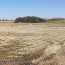 산이면사무소 이미지