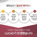 루카스병원 이미지