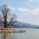 두물머리 이미지