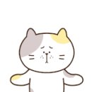 고루도