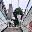 한강대로87길 | 숙대입구역 미용실 곱슬머리 매직셋팅 내돈내산 후기