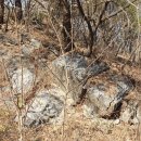 아주-0035 이미지