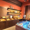 가히애견 이미지