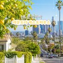 트윈트리2 민박 | LA 한인민박 레몬트리 게스트하우스 치안 뷰맛집 숙소