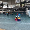 용평리조트용평피크아일랜드 네이버블로그