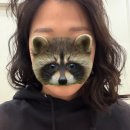 역삼-1329 | 강남눈썹문신 역삼눈썹문신 투엠 메이크업 [반영구...반영구 눈썹문신 25년 경력 대표원장 직접시술 후기