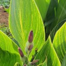 덕고개농장 이미지