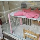 널 그림 이미지