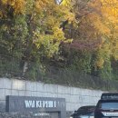 리버비스타 | 그랜드 워커힐 vs 비스타 워커힐 호캉스 후기(수영장, 헬스장, 리버뷰, 워커힐 멤버쉽, 워커힐 조식)