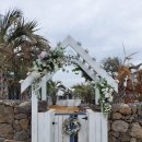 로맨스 파파 | 제주 로맨스파파 완벽 후기: 신창풍차해안도로 근처 추천 숙소