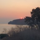 샌드시아 | 선재도 샌드시아팬션/ 내돈내산