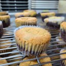 부산여자상업고등학교 이미지