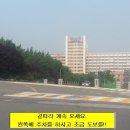 도화오거리 이미지