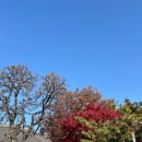 생명의 멜로디 | [전시후기] 덕수궁 관람 석조전 대한제국역사관 심화해설