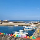 민경애견 이미지