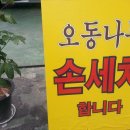 오동나무손세차장 이미지