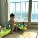 중연목장 | 공포의 밤수끊기..