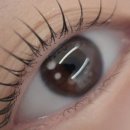 원도안로-25 이미지